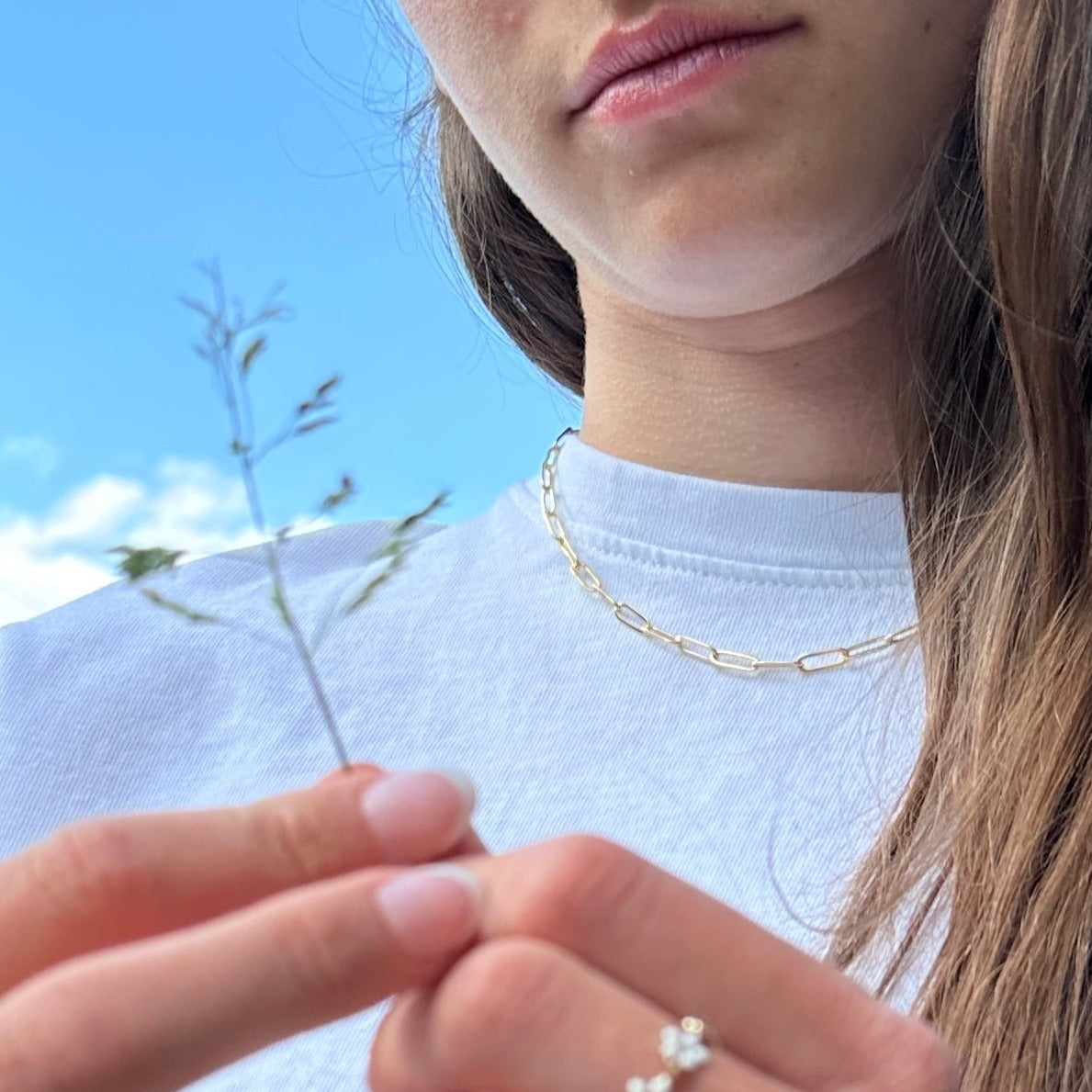 Stevie Chain | Paperclip Necklace
