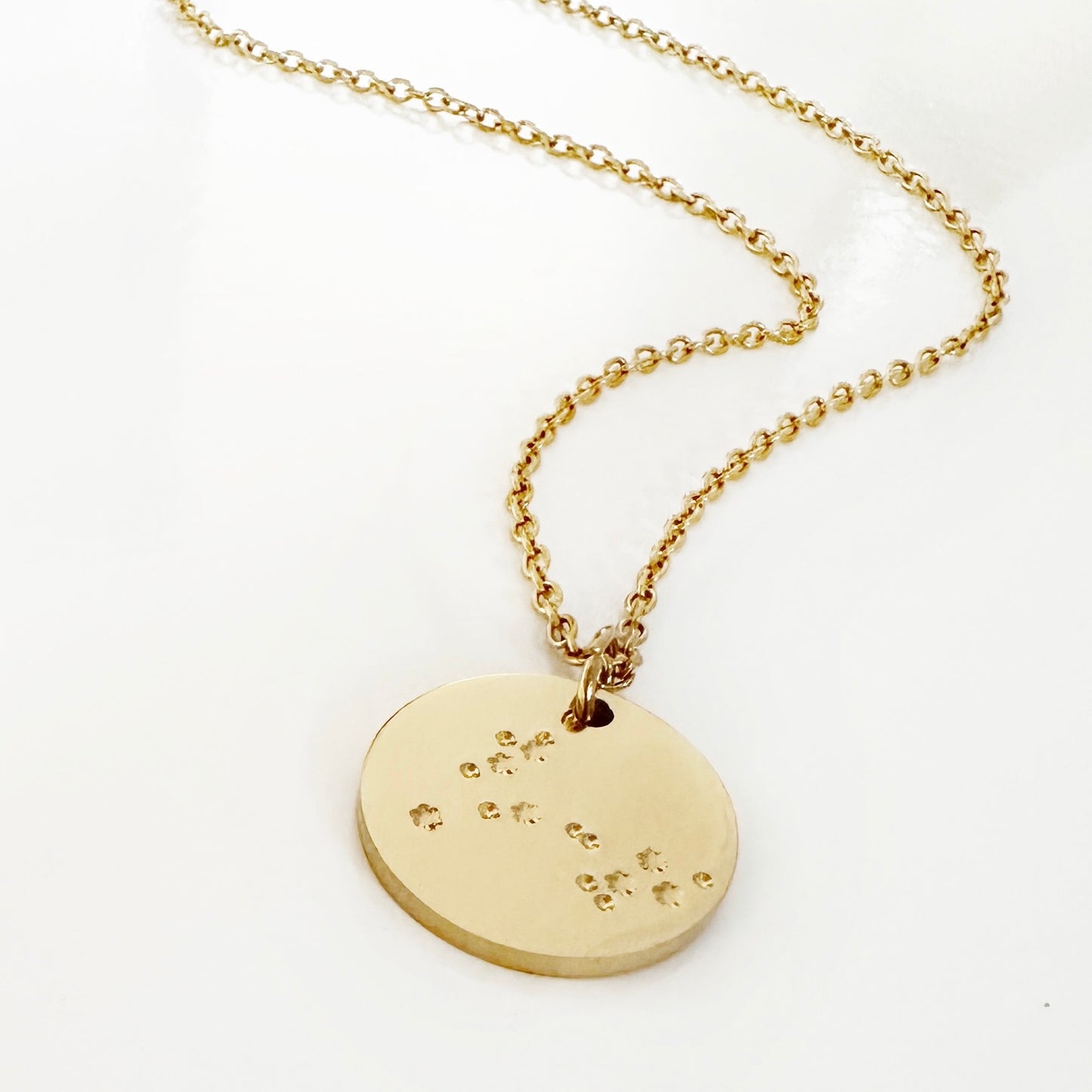 Pisces Constellation Necklace – Zodiac Star Sign Jewelry