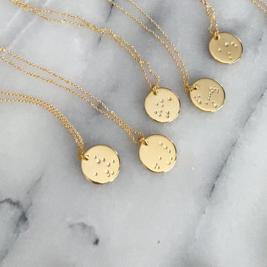 Aquarius Constellation Necklace Steel Daisy