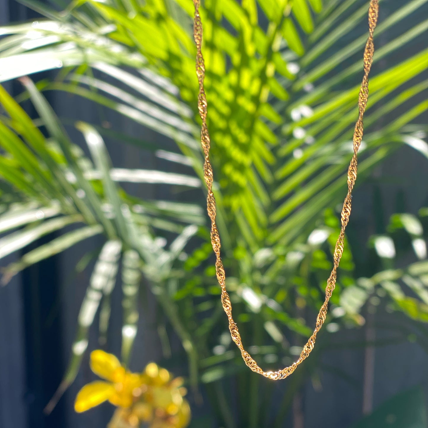 Rosa Chain | Delicate Twisted Chain Necklace