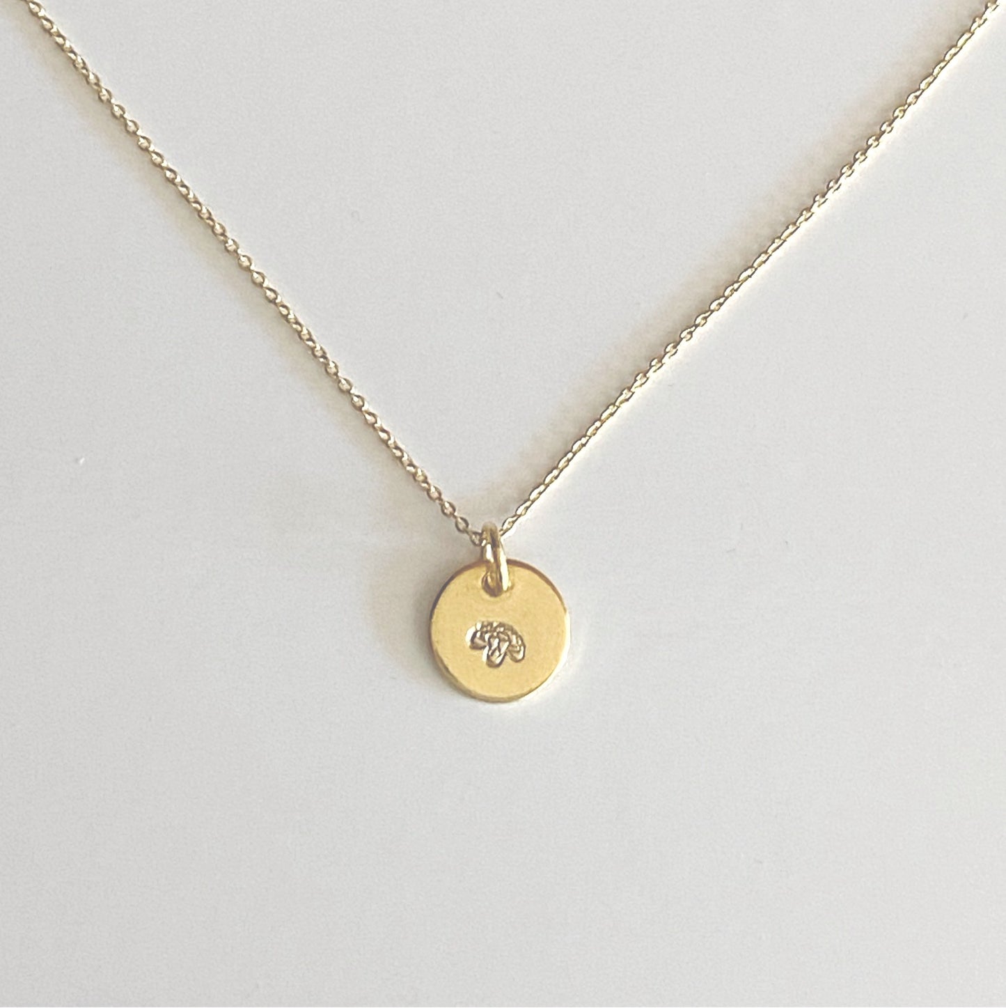 January - Carnation Birth Flower Necklace